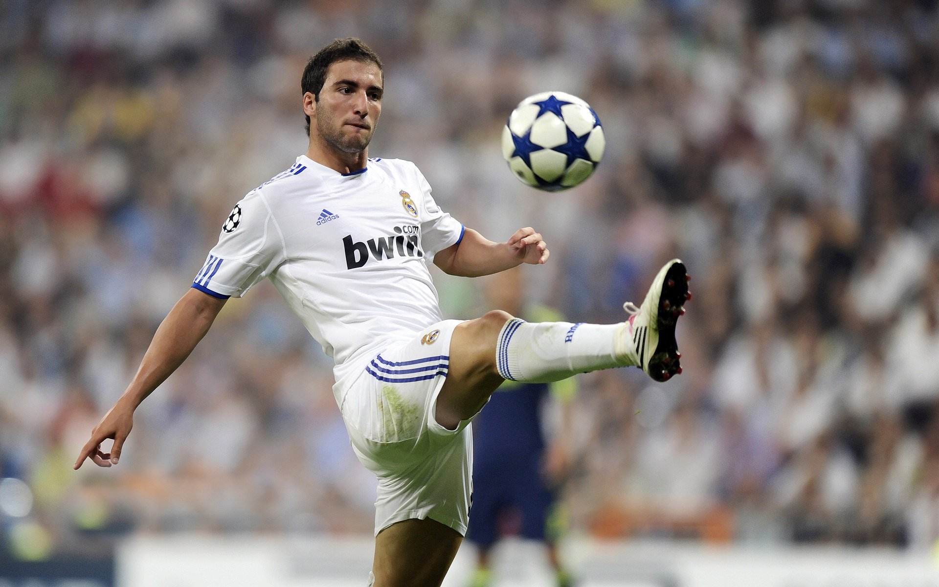 欧洲杯赛程临近，博彩公司调整热门赔率，欧洲杯赛程2021赔