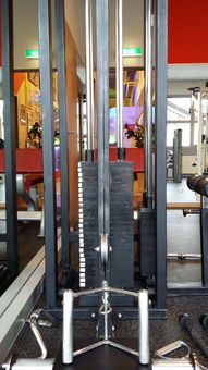 球员伤病检测结果正式发布，足球球员伤病数据